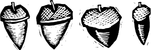 Acorns (line art)