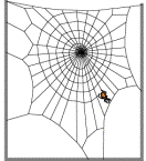 A spider working on its web.
